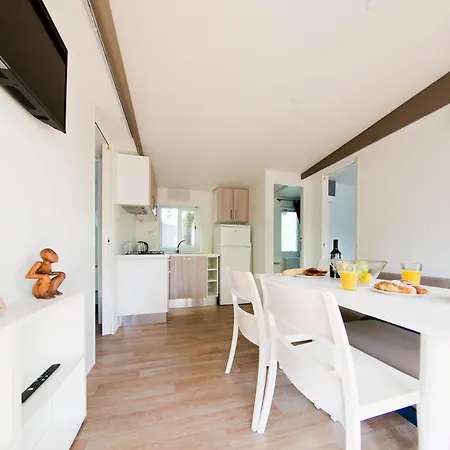 Campsite New In Village