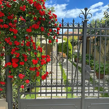 Campsite New In Village Cesenatico