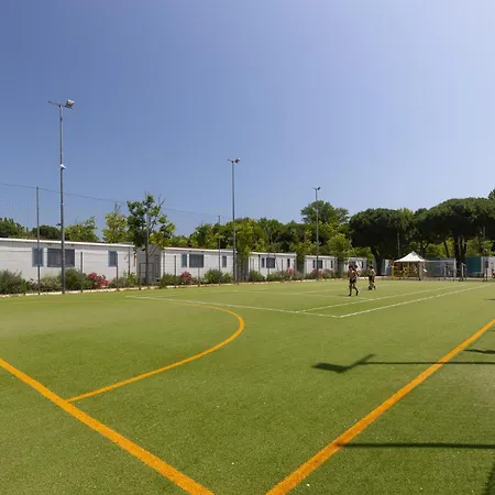 Campsite New In Village