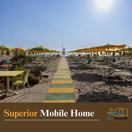 Campsite New In Village