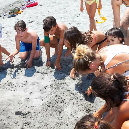 New In Village Campsite