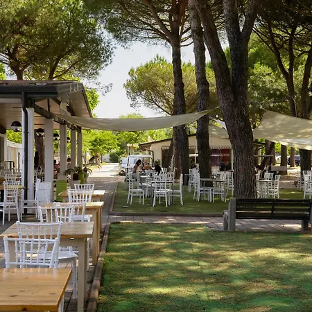 New In Village Campingplads *