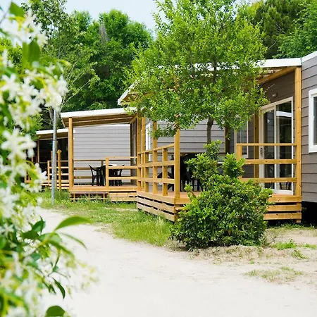 캠프장 New In Village
