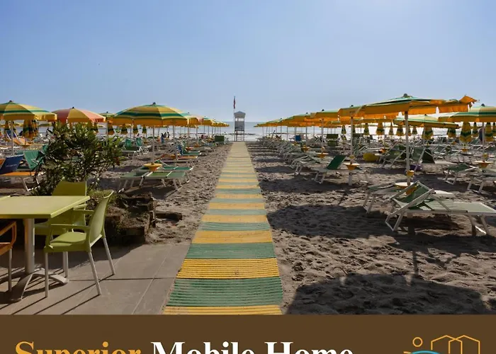 Κάμπινγκ New In Village